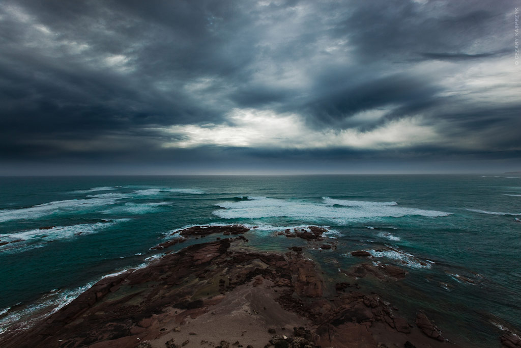 Cezary Kasprzyk Photography - Australia - Nullarbor - Sea Lions - 2011