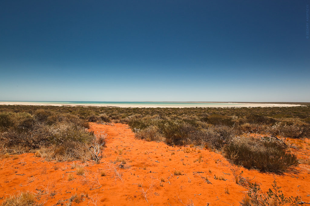 Cezary Kasprzyk Photography - Australia - Shark Bay - Red Sand, Blue Sky, Turquoise Sea - 2011
