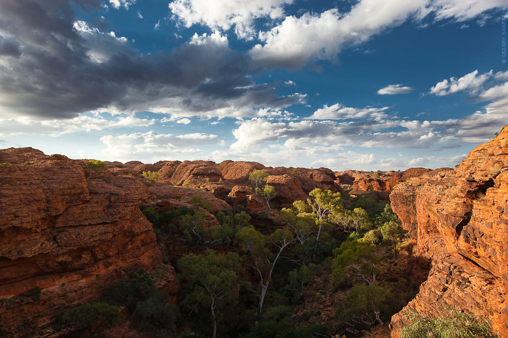 Cezary Kasprzyk Photography - Australia - Watarrka National Park - Kings Canyon - 2011
