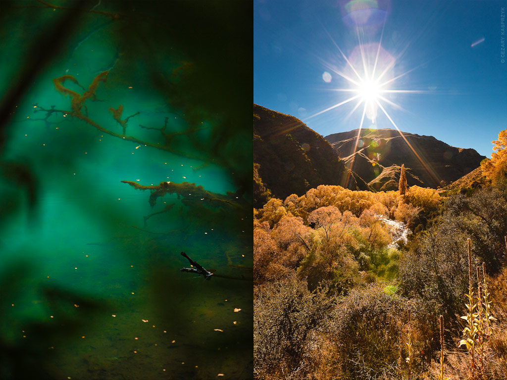Cezary Kasprzyk Photography -  New Zealand - Arrowtown - Autumn Forest & Milford Track Water - 2010