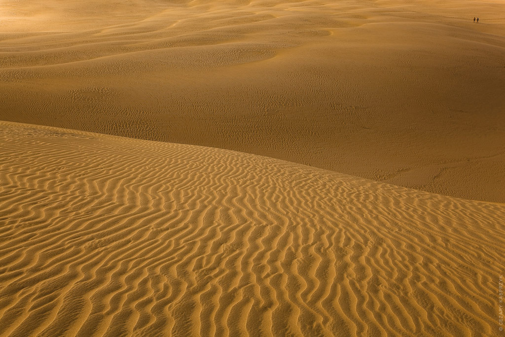 Cezary Kasprzyk Photography - New Zealand - Cape Reinga - Sand Dunes - 2010