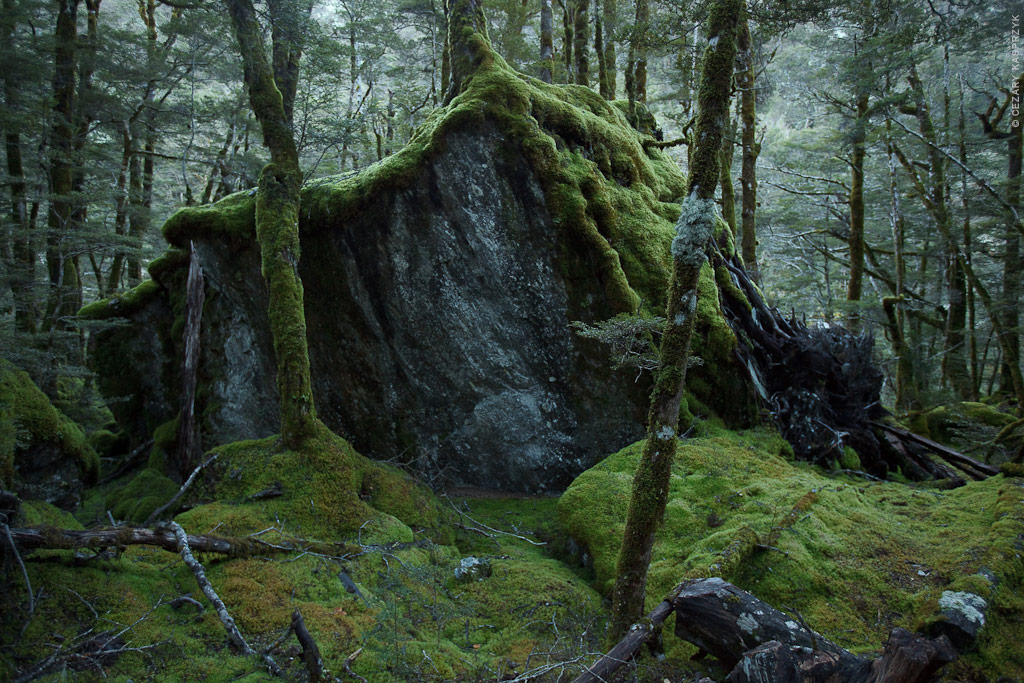 Cezary Kasprzyk Photography - New Zealand - Dart-Rees Track - Magic Door - 2010