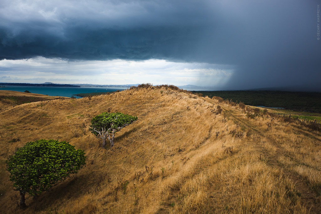 Cezary Kasprzyk Photography - New Zealand - Motutapu Island - 2010