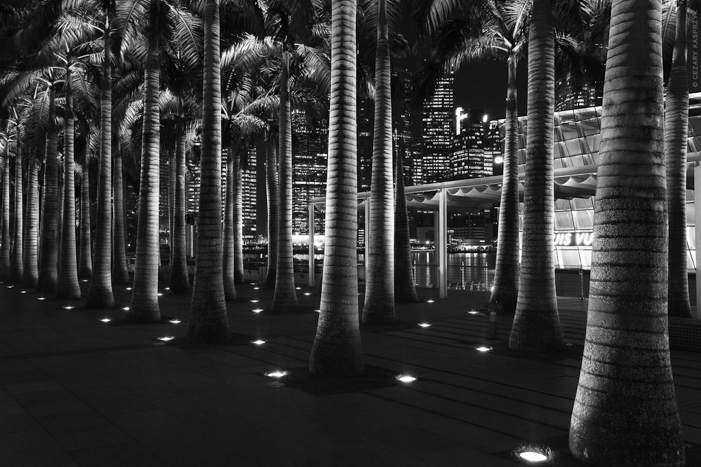 Cezary Kasprzyk Photography - Singapore - Marina Bay Sands - 2012